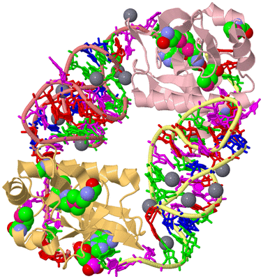 Image Biological Unit 2