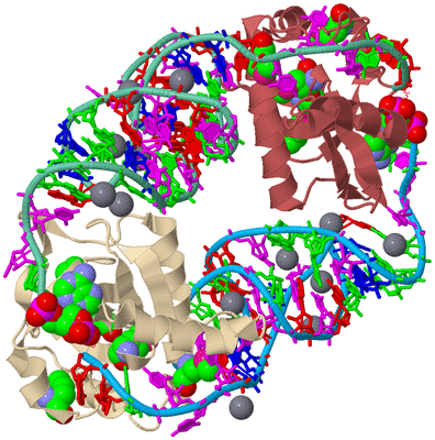 Image Biological Unit 3