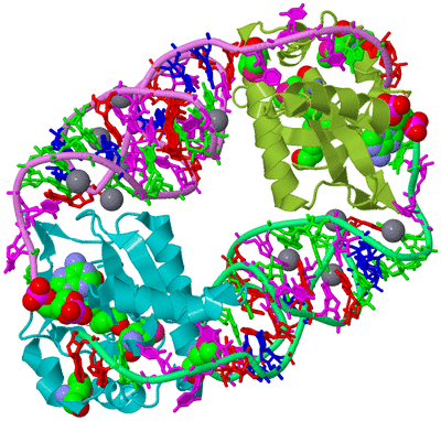 Image Biological Unit 4