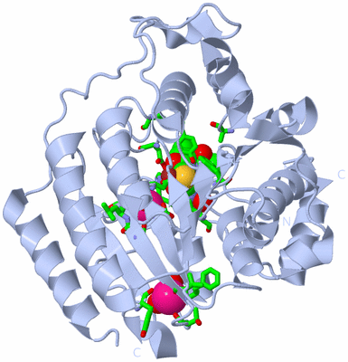 Image Biol. Unit 1 - sites