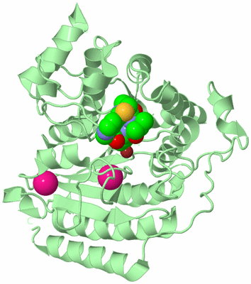 Image Biological Unit 2