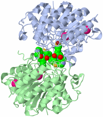 Image Biological Unit 3