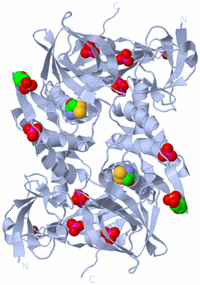 Image Biological Unit 1