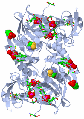 Image Biol. Unit 1 - sites