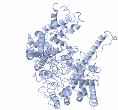 Image Biological Unit 1