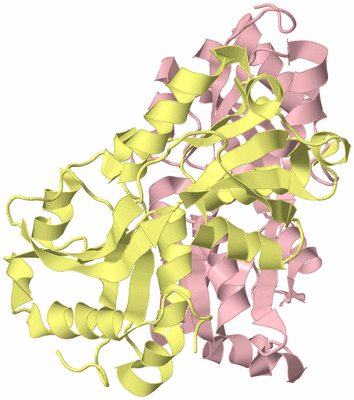 Image Biological Unit 2