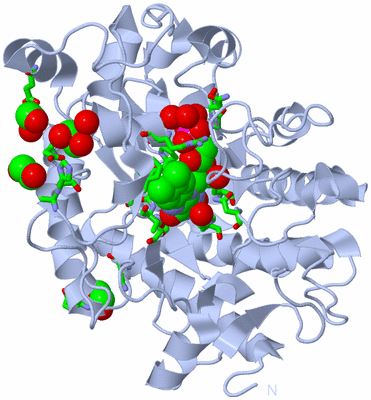 Image Biol. Unit 1 - sites