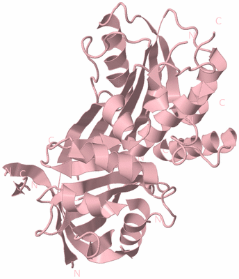Image Biological Unit 3