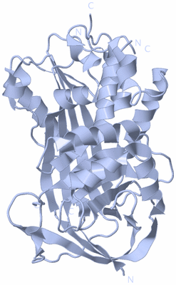 Image Biological Unit 1