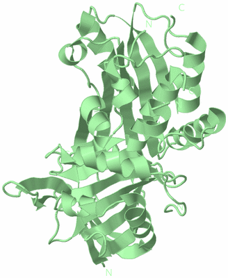 Image Biological Unit 2