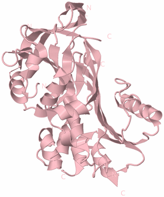 Image Biological Unit 3