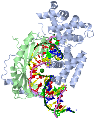 Image Asym./Biol. Unit