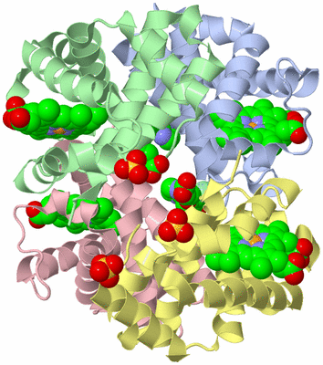 Image Asym./Biol. Unit