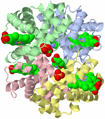 Image Asym./Biol. Unit