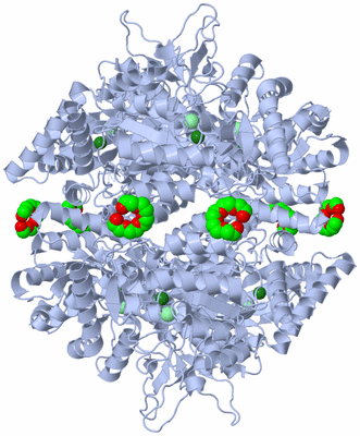 Image Biological Unit 2