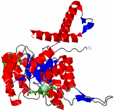 Image Asym. Unit - sites