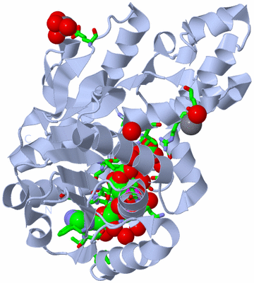 Image Biol. Unit 1 - sites