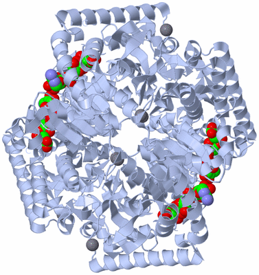 Image Biological Unit 2