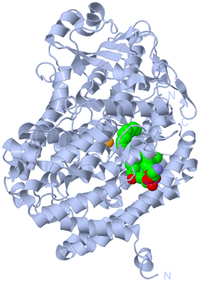 Image Biological Unit 1