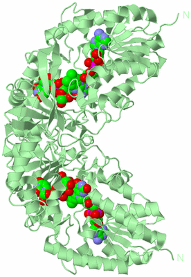 Image Biological Unit 1