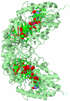 Image Biol. Unit 1 - sites