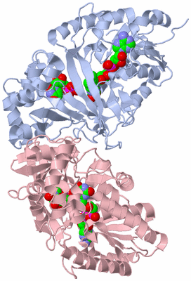 Image Biological Unit 2