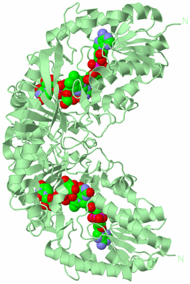 Image Biological Unit 1