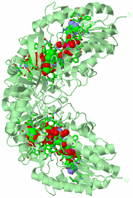 Image Biol. Unit 1 - sites