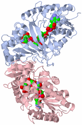 Image Biological Unit 2