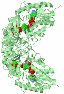 Image Biological Unit 1