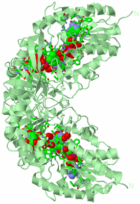 Image Biol. Unit 1 - sites