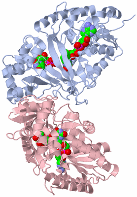 Image Biological Unit 2