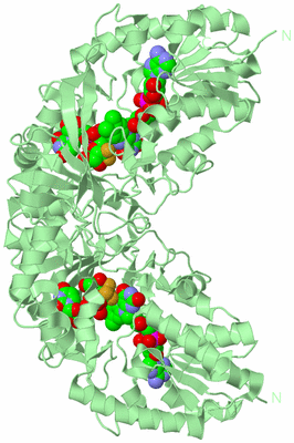 Image Biological Unit 1