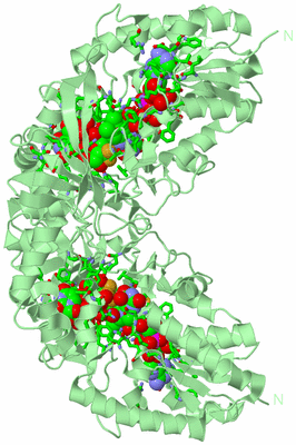 Image Biol. Unit 1 - sites