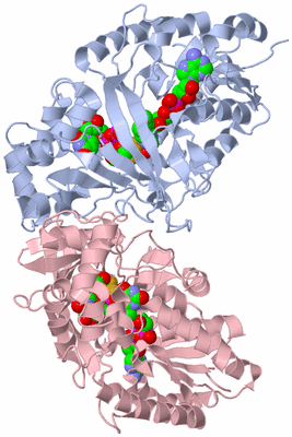 Image Biological Unit 2