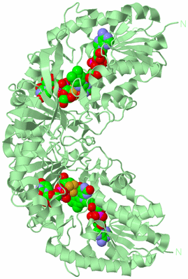 Image Biological Unit 1