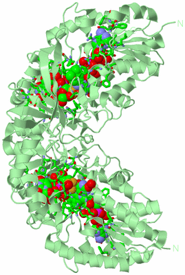 Image Biol. Unit 1 - sites