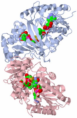 Image Biological Unit 2