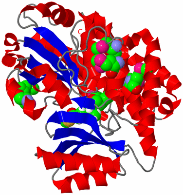 Image Asym./Biol. Unit