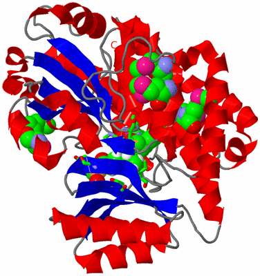 Image Asym./Biol. Unit - sites