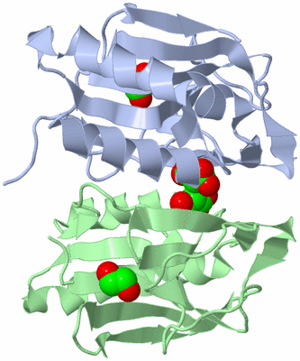 Image Biological Unit 3