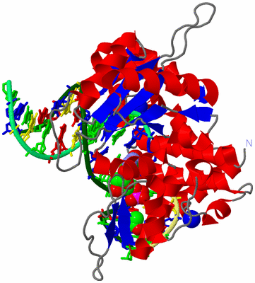 Image Asym./Biol. Unit