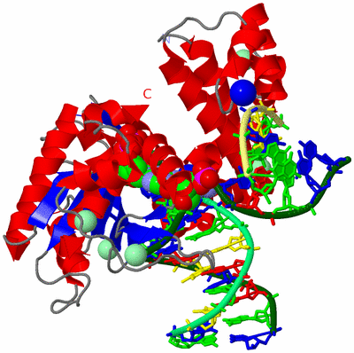 Image Asym./Biol. Unit