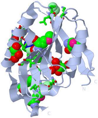 Image Biol. Unit 1 - sites