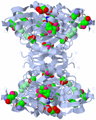 Image Biological Unit 2