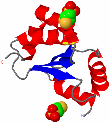 Image Asym./Biol. Unit