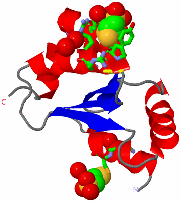 Image Asym./Biol. Unit - sites