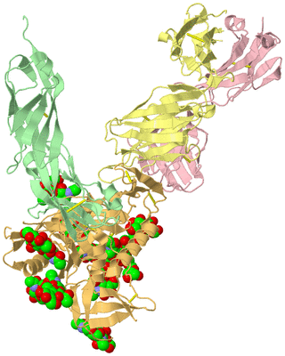 Image Biological Unit 1