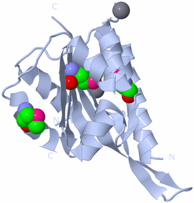 Image Biological Unit 1