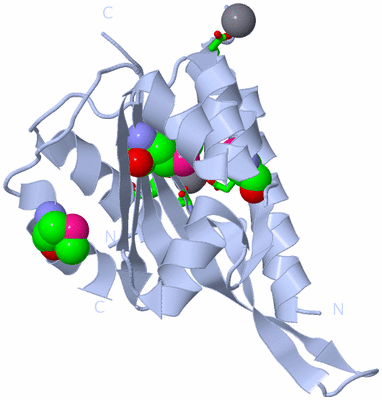 Image Biol. Unit 1 - sites